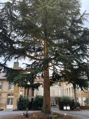 La Cour De La Tresorerie เมซ์ ภายนอก รูปภาพ